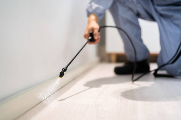 Bed Bug Pre-Treatment Preparation Assessment in Glenside