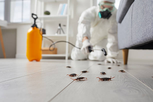 Post-Treatment Bed Bug Interceptor Monitoring in Glenside